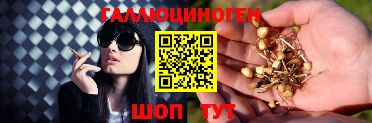 Галлюциногенные грибы ЛСД Горячий Ключ